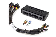 Load image into Gallery viewer, Haltech 00-04 Honda S2000 (AP1/2005 AP2) Elite 1000/1500 Plug-n-Play Adaptor Harness